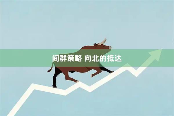 间群策略 向北的抵达