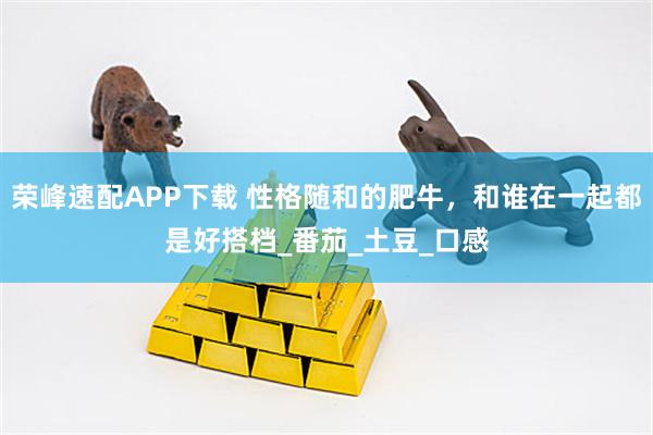荣峰速配APP下载 性格随和的肥牛，和谁在一起都是好搭档_番茄_土豆_口感
